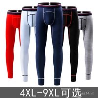 Quần lót giữ nhiệt nam, quần dài cotton mỏng đơn, lớp nền trẻ trung, eo giữa, kích thước lớn, ấm áp, vừa vặn