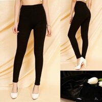 Quần lót lông nữ HM loại dày - Quần legging cao cấp loại đẹp