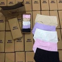 Quần lót Muji xuất Nhật hàng loại 1