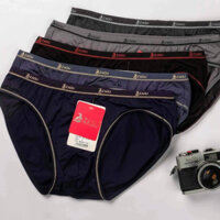 Quần Lót Nam Tam Giác Lưng Nhỏ – Thoáng Mát, Ôm Gọn, Bảo Vệ Hoàn Hảo ZAGU T324