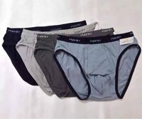 Quần Lót Nam Tam Giác Nhật - XL