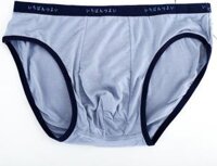 Quần Lót Nam Tam Giác Nhật - Xám - L