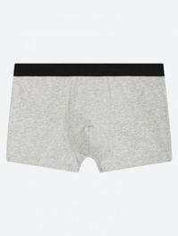 Quần lót nam Trunk Cotton