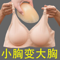 Quần Lót Ngực Giả Tập Hợp Vú Nhỏ Nhìn Lớn Hai Trong Một Lắc Áo Ngực Liền Mạch Silicon Mô Phỏng Dày Miếng Lót Ngực 24.12.24