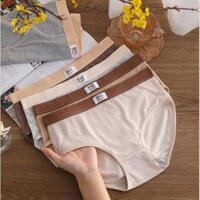 Quần Lót Nữ Big Cotton Gân Tăm Co Giãn Q567- Thủy Bikini