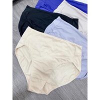 Quần lót nữ big size lưng cao 2 lớp Signature Microfiber Breathe Briefs Hanes BM40AS - M