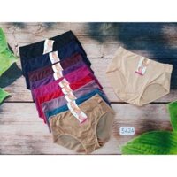 QUẦN LÓT NỮ LƯNG CAO LƯỚI TÀNG HÌNH CAO CẤP SPRING 5424 - L