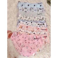 Quần Lót Nữ, Quần Su Đúc Điều Hòa Thun lạnh Không Đường May Hình Siêu Cute Ngộ Nghĩnh