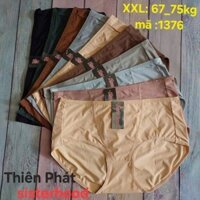 Quần lót nữ (set 5 quần) thun lạnh cạp cao sister hood size to 60-75kg cao cấp mã 1376