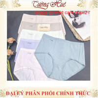 Quần Lót Nữ Triumph Sloggi Comfort Care Maxi2 R Trơn Cotton Hữu Cơ Lưng Cao Mềm Mịn