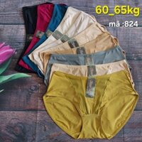 Quần lót thun lạnh phối lưới thiên phát cạp cao 55_65kg cao cấp
