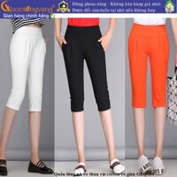 Quần lửng lưng cao nữ quần lửng harem nữ lưng thun GLQ084 Cuocsongvang