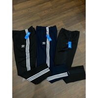 quần nỉ Lacoste