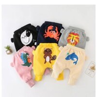 QUẦN NỈ LÓT BÔNG