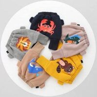 Quần nỉ lót lông cho bé