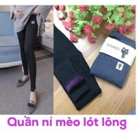 quần nỉ nữ, quần lót lông, quần lót nỉ nữ, quần loại 1