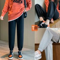 Quần ống rộng jogger nữ bo thun vải nỉ cao cấp OR246