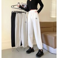 Quần Ống Rộng Nỉ BUS Unisex Chất Liệu Nỉ Thun Da Cá - Quần Jogger Nữ Ulzzang 3 Màu Basic QD014