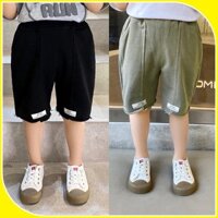 Quần short bé trai Q062, quần lửng tem trắng cho bé sz 90-140