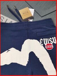 ♞,♘,♙Quần short in họa tiết đa năng Evisu Áo hoodie rộng rãi nam 24fw