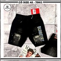 Quần short nam cao cấp vải jean đứng form thêu hình TT, quần đùi nam rách ống, quần ngố nam