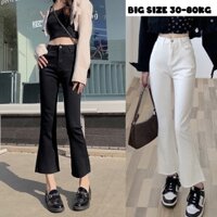 Quần Skinny Ống loe 9 tấc (dài 91-95cm) Quần jeans Loe đen trơn - Chất bò giấy