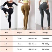 Quần tập Chun Mông Nữ Cao cấp - Ami Nữ Cạp Cao Nâng Mông Vải Dệt Kim Bền Đàn Hồi 4 Chiều, Quần tập yoga tập gym thể thao