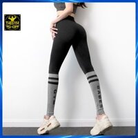 Quần tập legging cạp cao siêu nâng mông tập gym, yoga cao cấp AMIN AM006