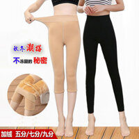 Quần tất bán buôn mùa thu đông, lót lông cừu, dày, quần legging chín điểm cho phụ nữ, quần legging màu da, quần giữ nhiệt màu da