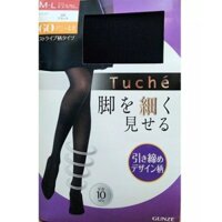 Quần tất ôm chân Gunze Tuche 60D - Nhật Bản (Đen sọc)