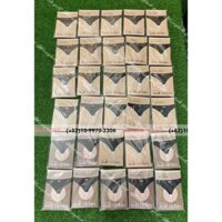 Quần tất thể thao 60D Hello Birdie chống nắng UVA/B thiết kế Y cut cực tiện lợi cho golfer nữ nội địa hàn quốc