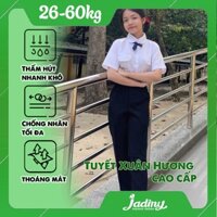 Quần tây học sinh nữ ống đứng xuân hương mềm co giãn nhẹ màu đen Jadiny GDP048