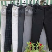 Quần Tây Nam co dãn phom ôm ống côn, quần tây baggy nam vải đẹp giá rẻ