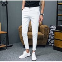 QUẦN TÂY NAM DÁNG HÀN ÔM BODY ỐNG CÔN NHỎ VẢI MỊN ĐẸP CO GIÃN TỐT GIÁ RẺ Quần tây nam dài X1