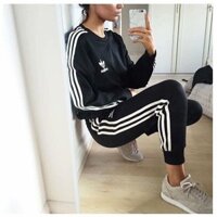 Quần thể thao Adidas