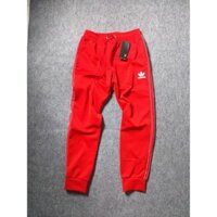 QUẦN THỂ THAO NAM