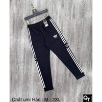 quần thun thể thao