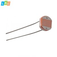 Quang trở 5mm 5528