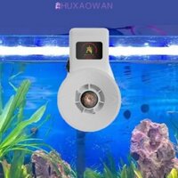 Quạt bể cá ZHUXAOWAN, Quạt làm mát bể cá treo tường có thể điều chỉnh, Quạt gió lạnh Mini có độ ồn thấp USB mạnh mẽ Bể cá