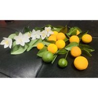 Quất cảnh, quất bon sai, quất giả