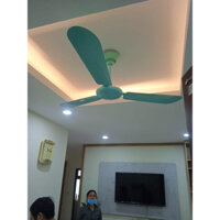 Quạt cánh sắt Điện Cơ Thống Nhất
