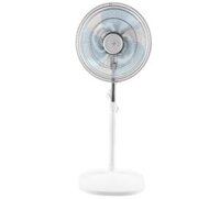 Quạt cây Asia D16027-TV0