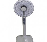 Quạt cây Benny BF-16GC - Hàng chính hãng
