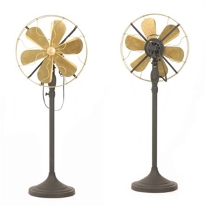 Quạt cây cổ đẹp FT161BS