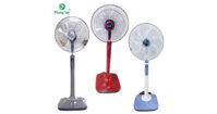 Quạt cây Phong Lan D400MS-C công suất 65W, 3 tốc độ gió, 7 cánh 40cm bảo hành 12 tháng