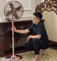 Quạt cây siêu mát, siêu bền phong cách tân cổ điển QC6-Dong