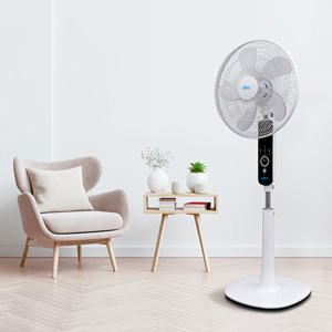 Quạt đứng AC ASF02A165