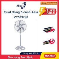 Quạt đứng công nghiệp 5 cánh  Asia VY579790 - 80W-BM