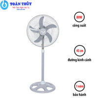 Quạt đứng công nghiệp Asia VY579790 (D20002) 80W