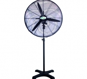 Quạt đứng Ifan NS-65